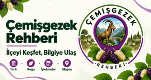Çemişgezek Rehberi logosu, tarih, doğa, işletmeler ve ulaşım kategorileri