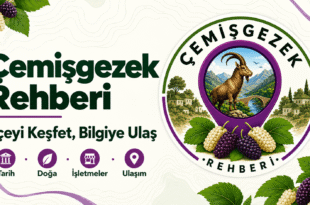 Çemişgezek Rehberi logosu, tarih, doğa, işletmeler ve ulaşım kategorileri